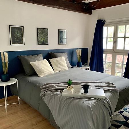 Appartement Les Bleuets - Centre Ville De Saumur Bagian luar foto