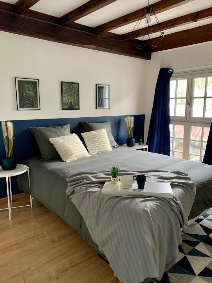 Appartement Les Bleuets - Centre Ville De Saumur Bagian luar foto